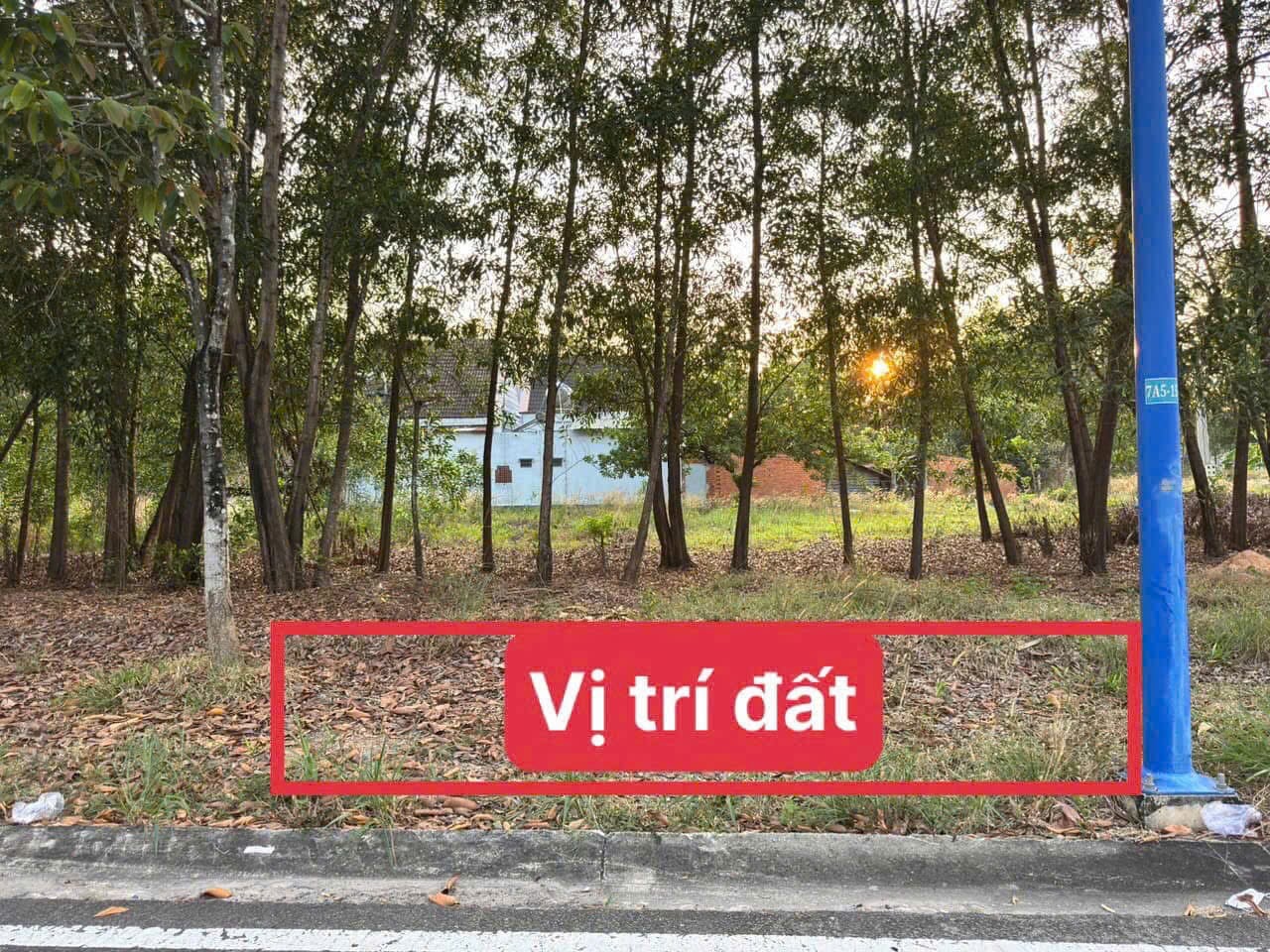 vị trí đất đường d5b mỹ phước 4