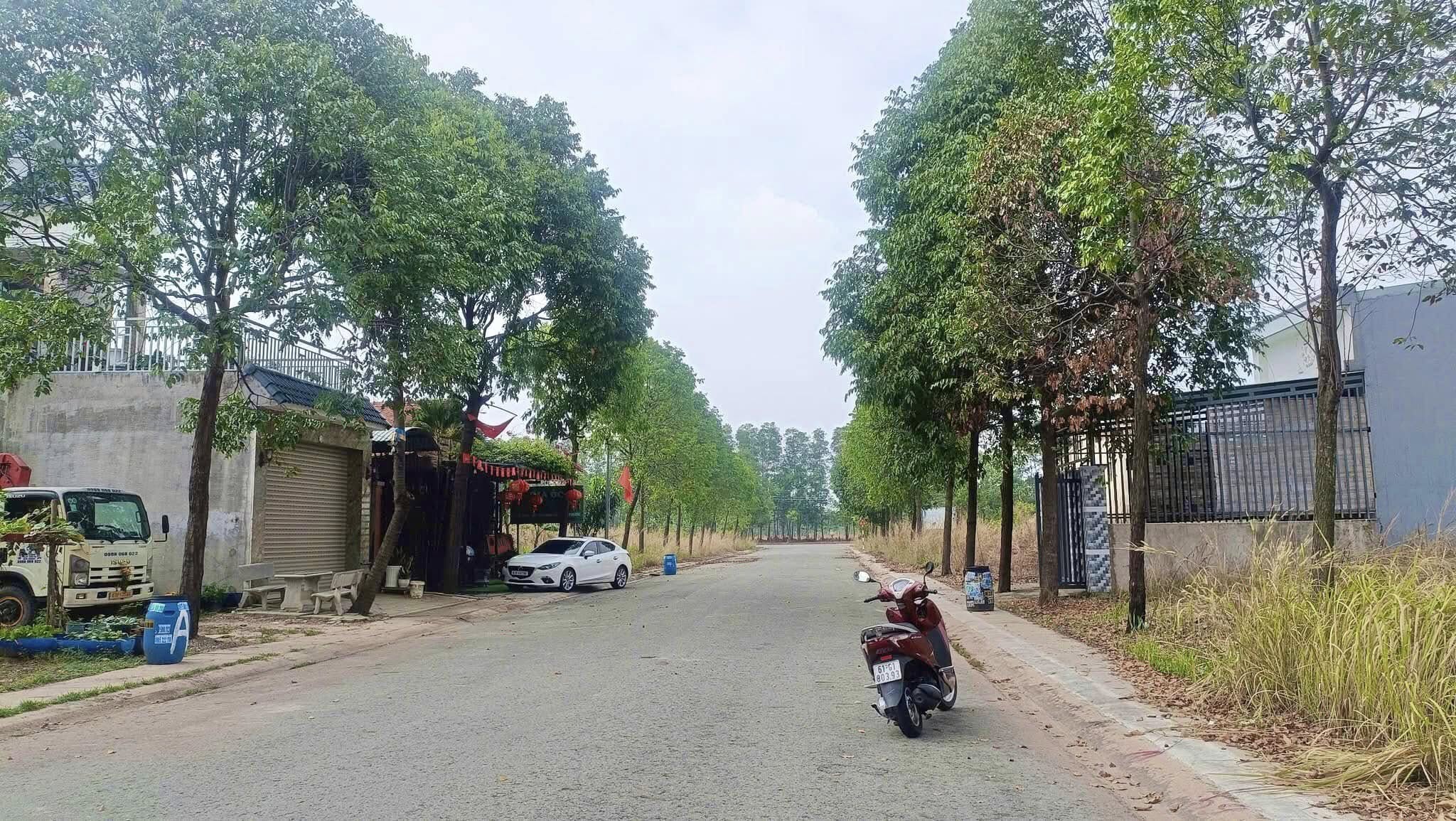 đường n2 mỹ phước 4