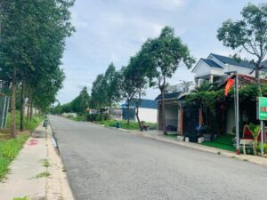 đường nhựa 16m thông dài
